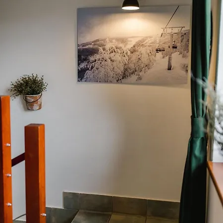 Radosna Villa *
