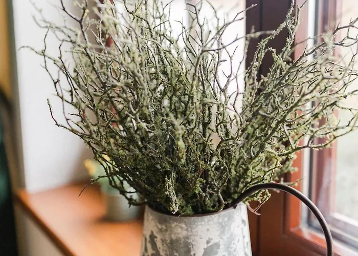 Radosna 슈차이르크